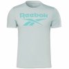 Reebok t-shirt seledynowy bawełniany męski koszulka duży napis